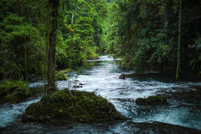 Eden on the River, Snorkeling and Blue Lagoon Adventure - Final Thoughts