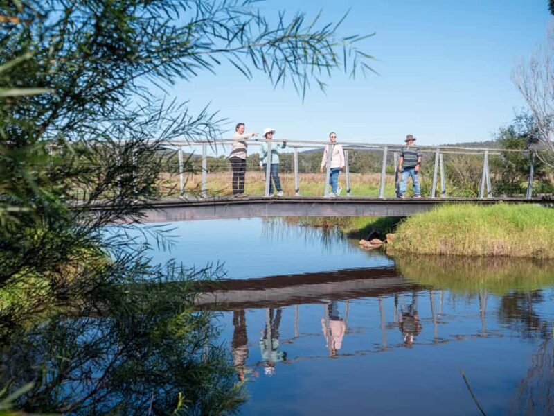 Eden: Panboola Wetlands and Potoroo Palace Tour with Lunch - A Detailed Look at the Eden: Panboola Wetlands & Potoroo Palace Tour