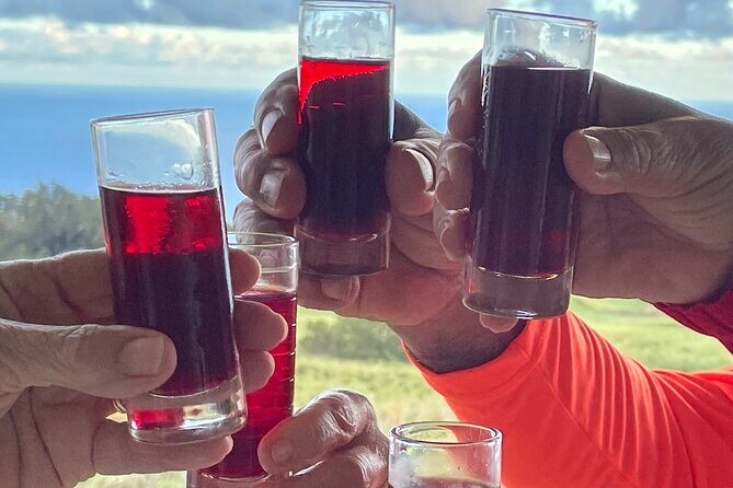 Edible Hibiscus Guided Farm Tour (Big Island) - Exploring the Big Island’s Hibiscus Farm: An In-Depth Review