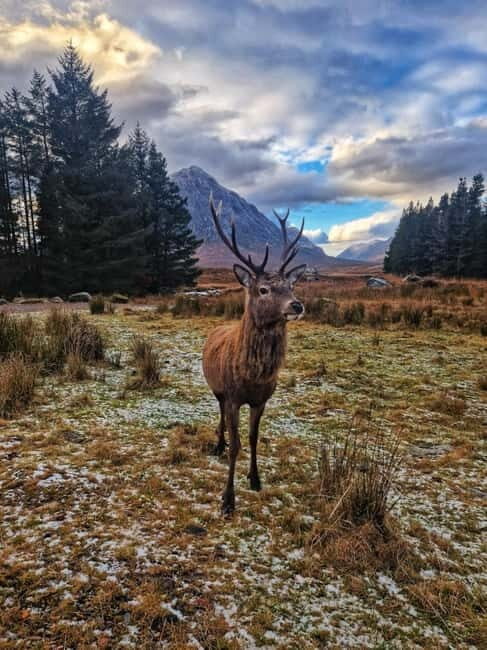 Edinburgh: 3-Day Isle of Skye & Highlands Guided Tour - Why this tour offers genuine value