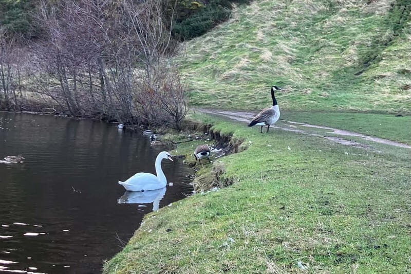 Edinburgh: Guided Hike to Arthur's Seat and Calton Hill - Frequently Asked Questions