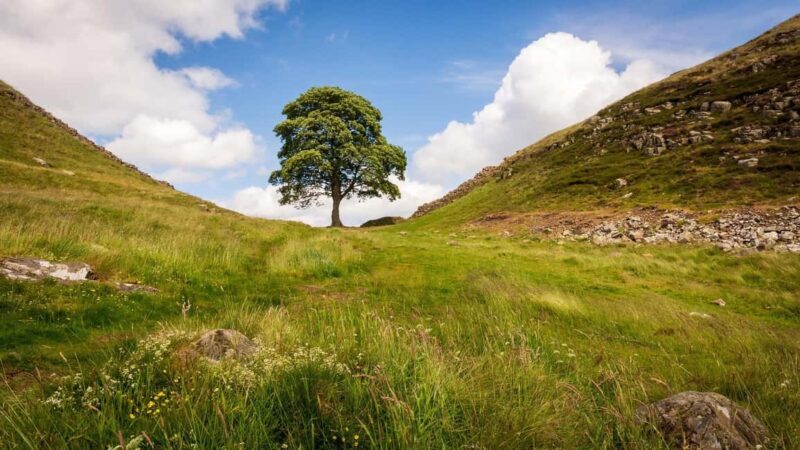 Edinburgh: Hadrian's Wall & Scottish Borders Day Trip - Why This Tour Offers Good Value