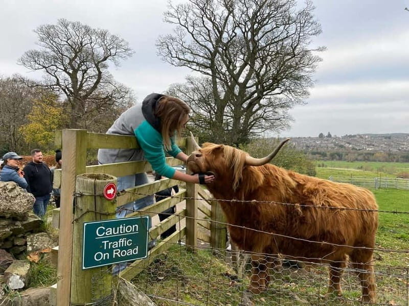 Edinburgh: Highland Cow, Blackness Castle, and Cake Tour - Key Points