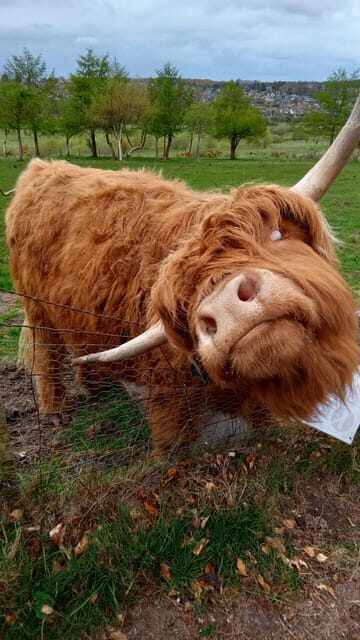 Edinburgh: Hill & Nature Hike With a Local - FAQs