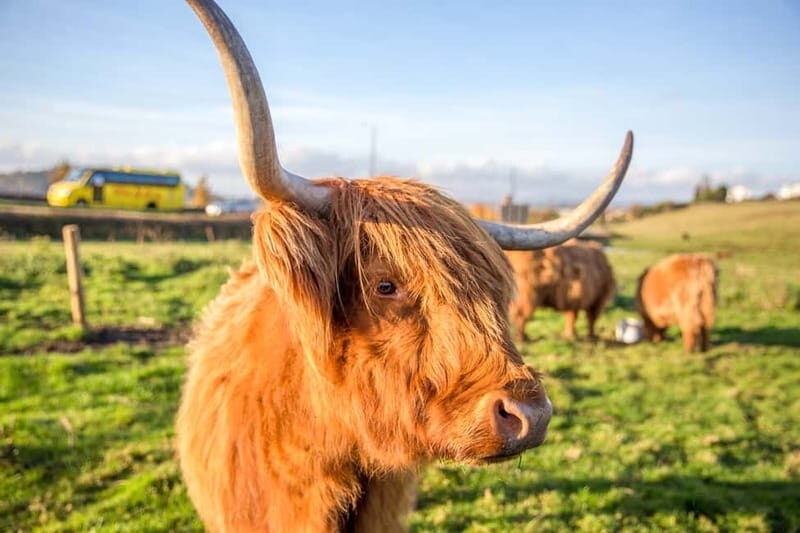 Edinburgh: Isle of Skye, Inverness, and Highlands 3-Day Tour - FAQ
