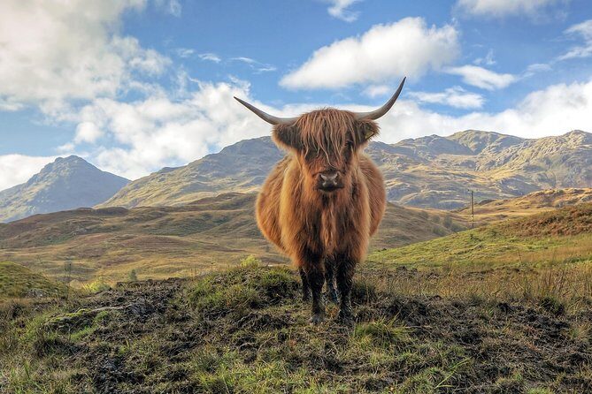 Edinburgh: Loch Lomond, Stirling Castle and the Kelpies Day Tour - A Deep Dive into the Tour Experience