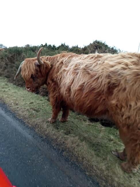 Edinburgh: Stirling, Highlands, Loch Ness, Mull 5-Day Tour - Key Points
