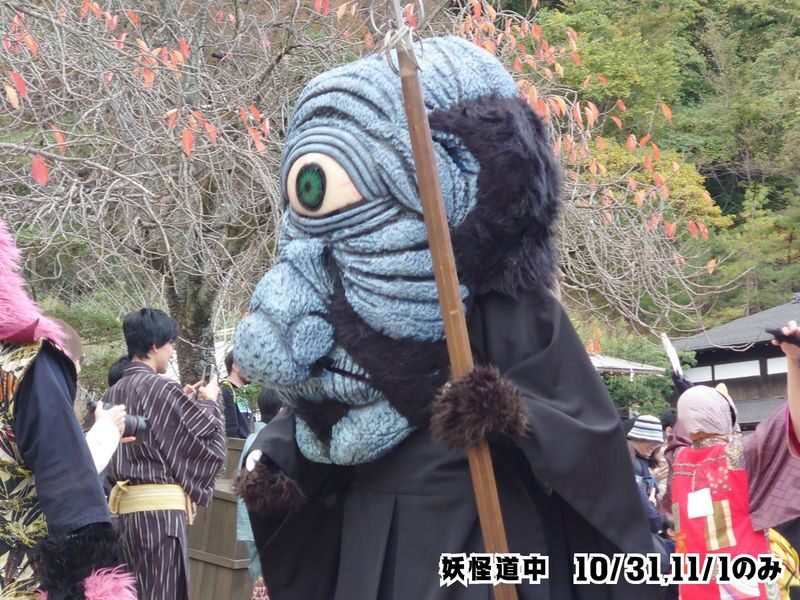 Edo Wonderland Nikko Edomura Ticket - Who will enjoy Edo Wonderland most