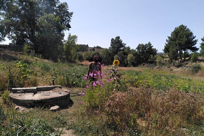 Educational visit of a Certified Organic Micro Farm in Trancoso - A Deep Dive into the Organic Micro Farm Experience