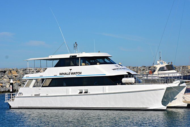 Educational Whale Watching Tour from Perth - Discover the Educational Whale Watching Tour from Perth