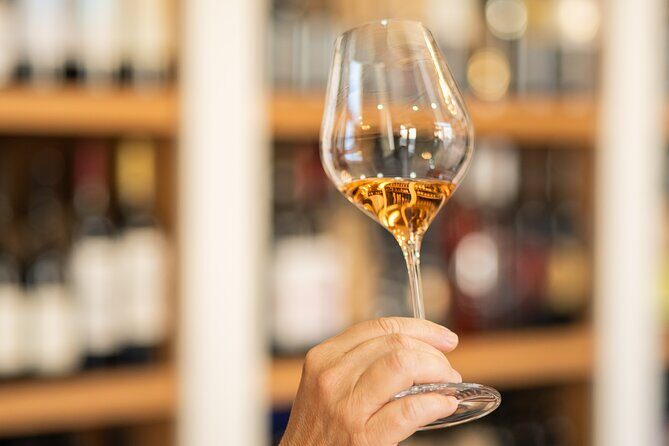 Educational wine tasting in Split - Key Points