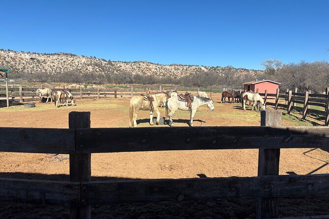 Effortlessly E Bike the Verde Valley Riparian Habitat - A Deep Dive into the Verde Valley E-bike Experience