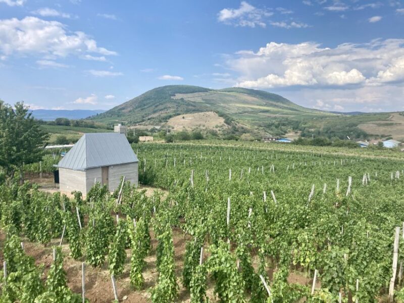 Eger: Countryside, Culture, and Wine Private Tour - FAQs
