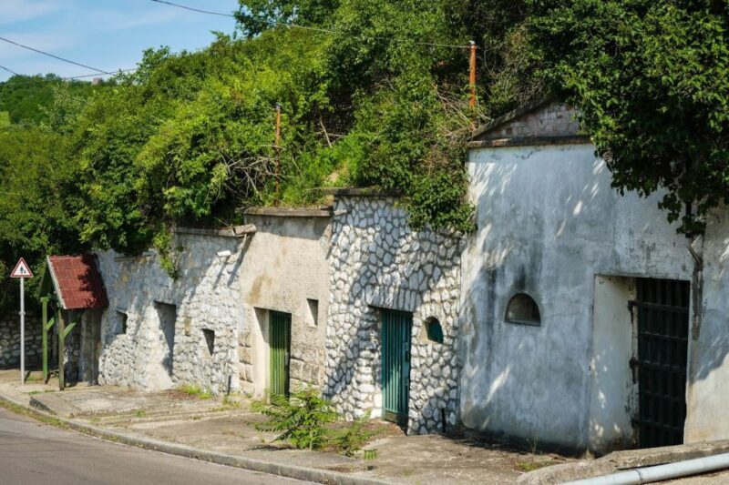 Eger, home to Bull's Bood, a private tour with winetaste - Key Points