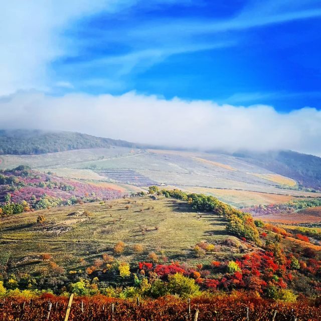 Eger, home to Bull's Bood, a private tour with winetaste - Frequently Asked Questions