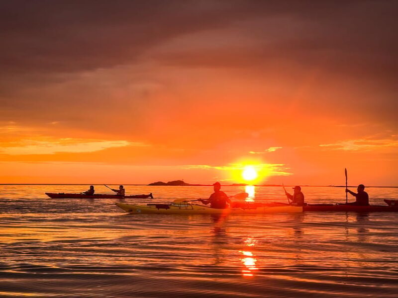 Eggum: Lofoten Islands Midnight Sun Kayak Tour - Who Should Definitely Book This Tour?