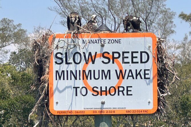 Egmont Key Adventure Departing From Sarasota or Anna Maria Island - Exploring the Details of the Egmont Key Adventure