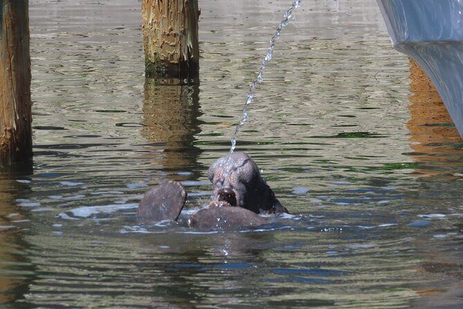 Egmont Key Adventure Departing From Sarasota or Anna Maria Island - Final Thoughts