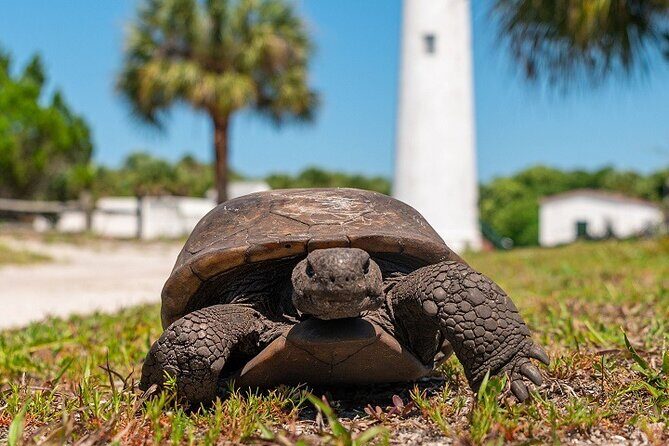 Egmont Key Ferry from Ft. DeSoto Park - Key Points