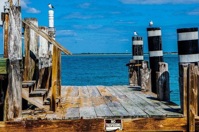 Egmont Key Snorkeling Dolphin Tour - FAQs