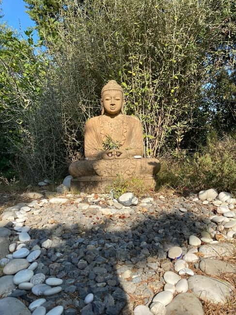 Ehrwald: Time to Relax-Outdoor Yoga in Mountain Scenery - Key Points