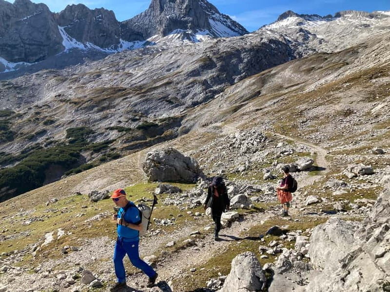 Ehrwald: Zugspitze mountain hike day tour via Gatterl - The Sum Up: Is This Tour Worth It?