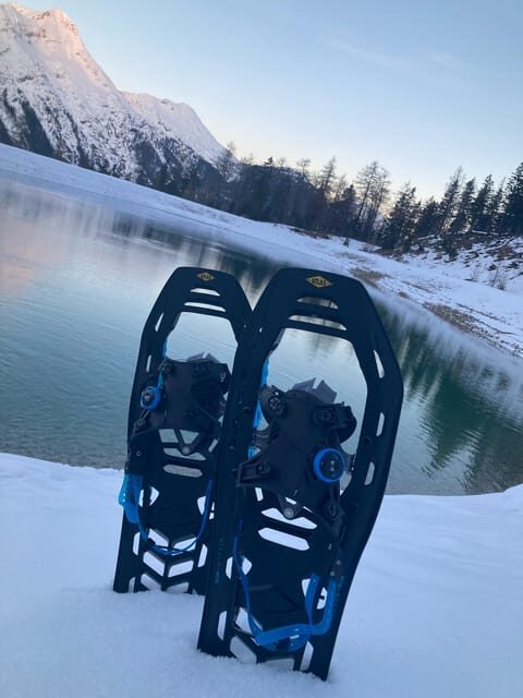 Ehrwald: Zugspitze Snowshoe Hiking Tour with Mountain Views - Key Points