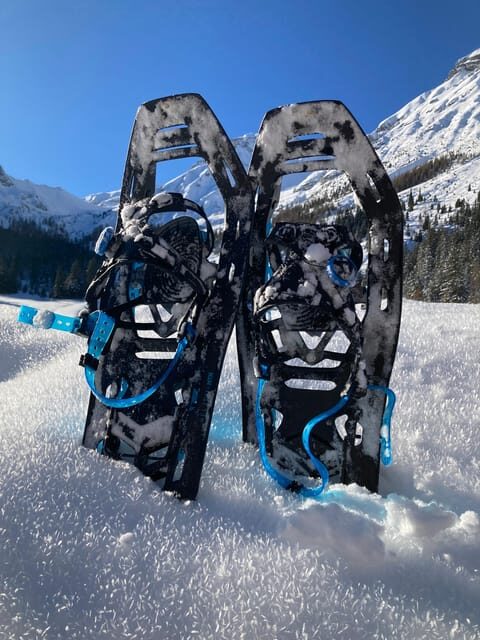 Ehrwald: Zugspitze Snowshoe Hiking Tour with Mountain Views - The Sum Up