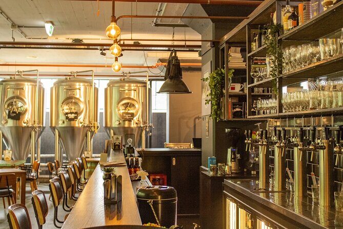 Eindhoven Fun Craft Beer Self-guided City Tour - A Quick Overview of the Eindhoven Fun Craft Beer Self-guided City Tour