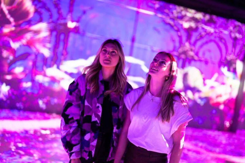 Eindhoven: Motion Experience Light Art Playground Ticket - What You Can Expect During Your Visit