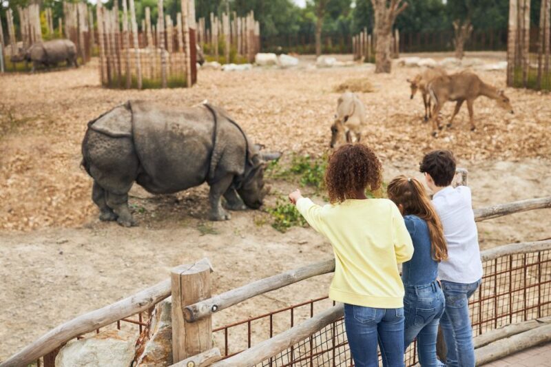 Eindhoven Zoo Entry Ticket - A Closer Look at Eindhoven Zoo: What to Expect