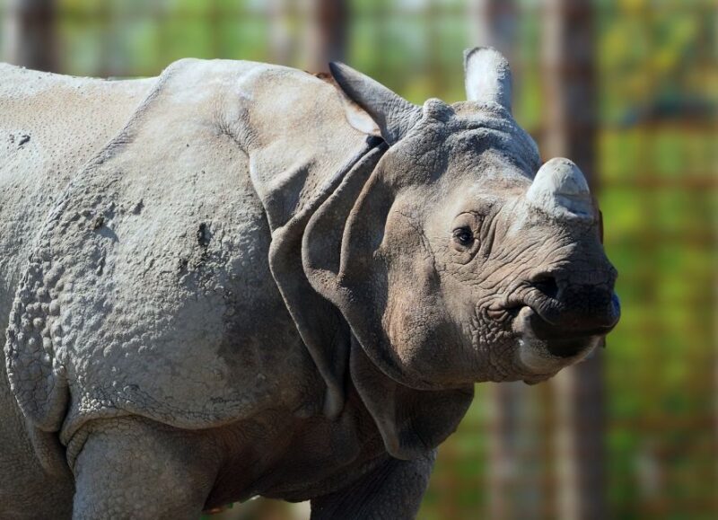 Eindhoven Zoo Entry Ticket - FAQs