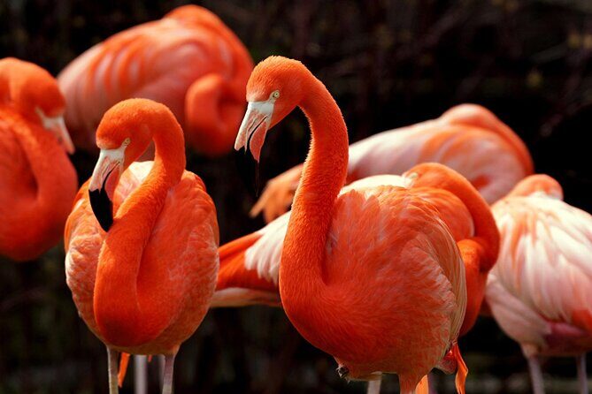 Ek Balam Ruins with Las Coloradas and Rio Lagartos Private Tour - A Deep Dive into the Experience: Exploring Yucatán’s Hidden Corners