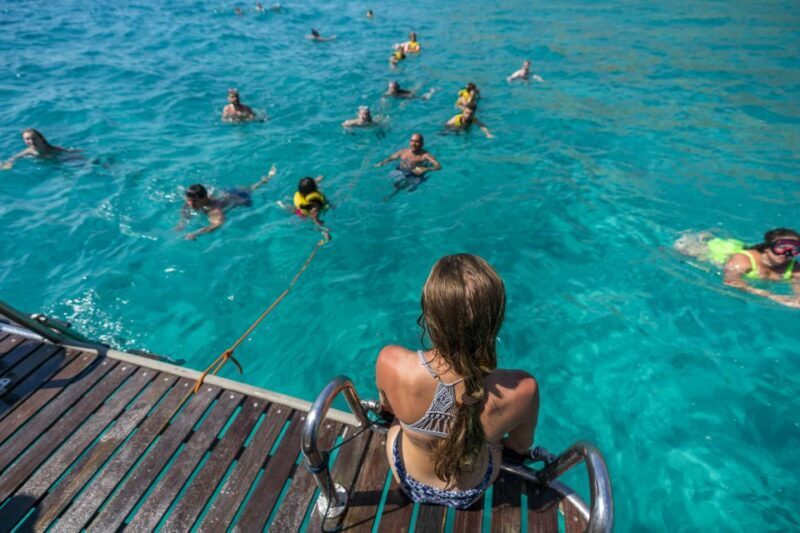 El Arenal, Mallorca: Bay of Palma Boat Tour with Snorkeling - Authentic Insights from Travelers