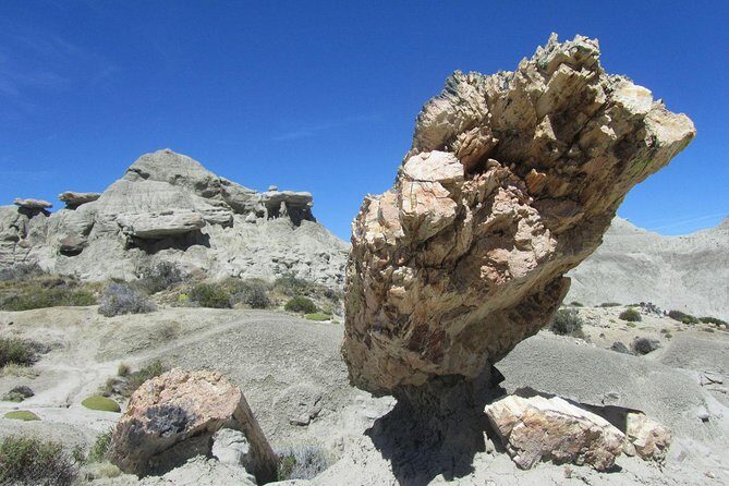 El Calafate: Day Trip to the spectacular Petrified Forest La Leona - Key Points