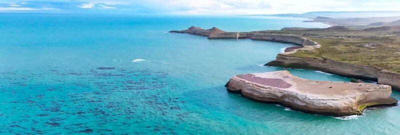 El Calafate: Monte León 4x4 Wolves and Penguins Excursion - Experience the Wild Beauty of Patagonia with the Monte León 4x4 Wolves and Penguins Excursion