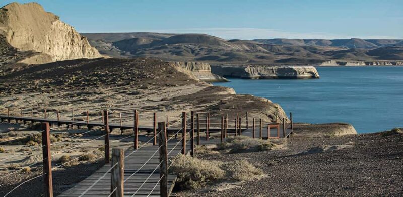 El Calafate: Monte León 4x4 Wolves and Penguins Excursion - Key Points