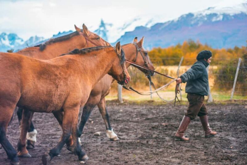 El Calafate: Nibepo Aike Ranch with Horseback Riding - Key Points