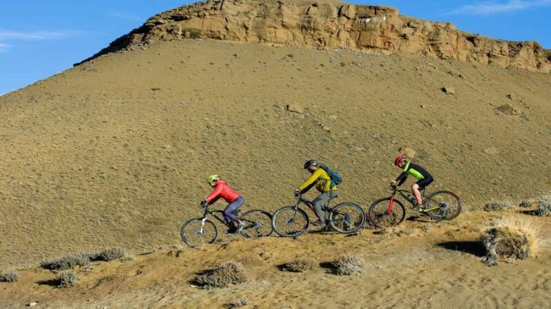 El Calafate: Patagonia Bike Safari - Who Should Consider This Tour?