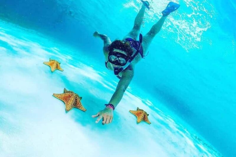 El Cielo and El Cielito Catamaran Tour with Slide and Open Bar - An Honest Look at the El Cielo and El Cielito Catamaran Tour in Cozumel