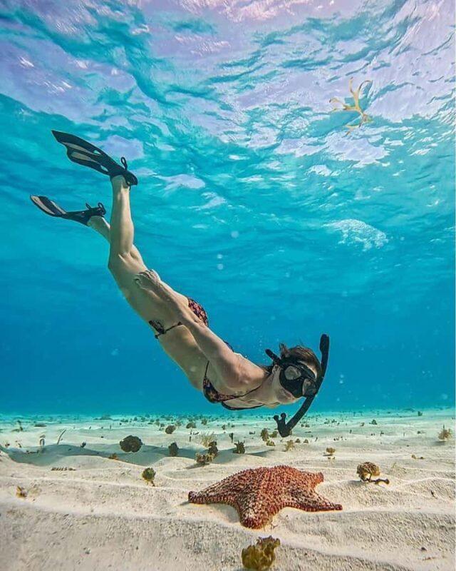 El Cielo and El Cielito Catamaran Tour with Slide and Open Bar - Key Points