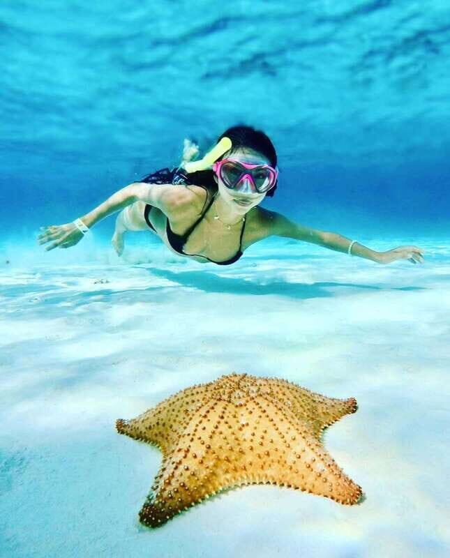El Cielo and El Cielito in Cozumel with Beach Club, Food, and Open Bar - Exploring Cozumel’s Top Spots by Catamaran