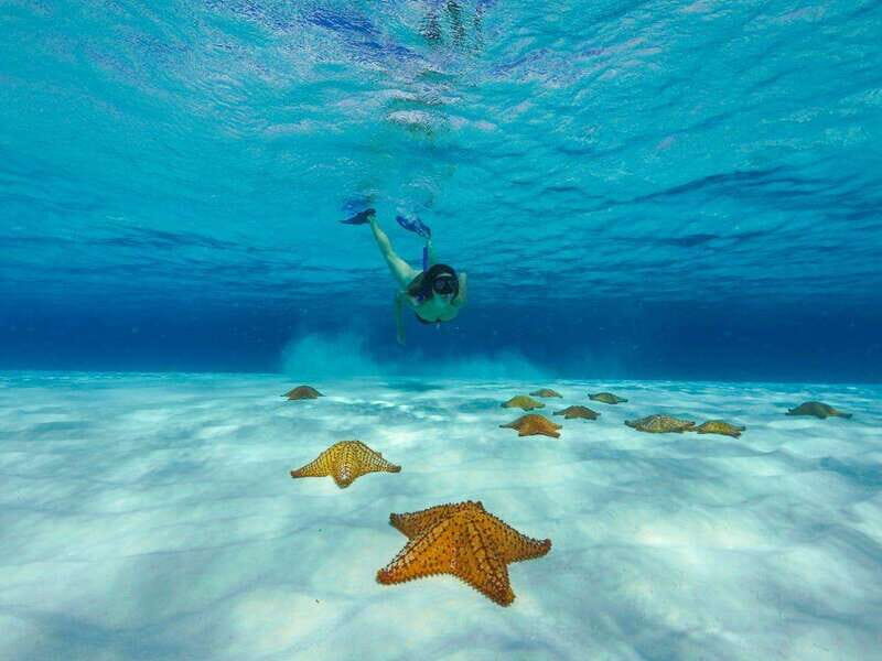 El Cielo and El Cielito in Cozumel with Beach Club, Food, and Open Bar - Who Will Love This Tour?