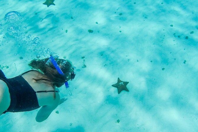 El Cielo Cozumel, a paradisiacal tour. Be amazed by the stars near to you. - Post-snorkel relaxation at El Cielito Beach