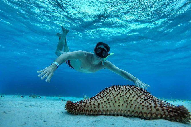 El Cielo Cozumel, a paradisiacal tour. Be amazed by the stars near to you. - The Practical Side: Price, Logistics, and Value