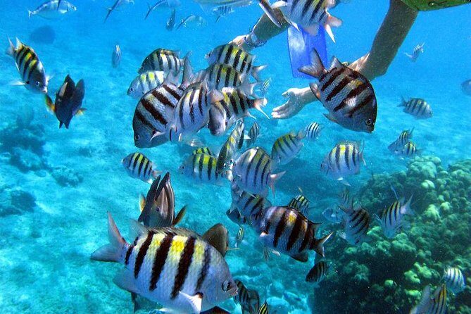 El Cielo Cozumel - A Complete Look at El Cielo Cozumel: What to Expect