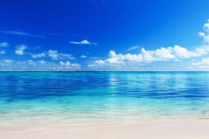 El cielo Cozumel From Cancún and round Transfer with Lunch - Key Points