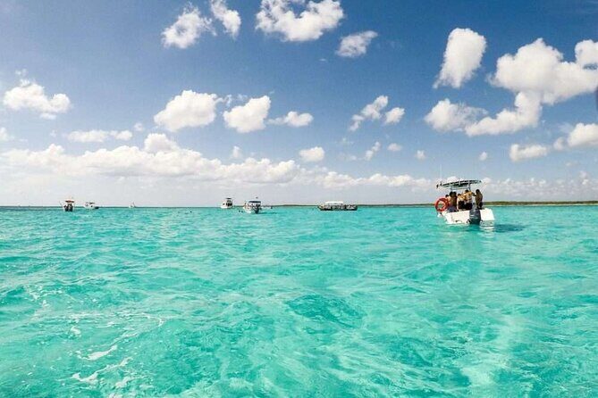 El cielo Cozumel From Cancún and round Transfer with Lunch - Who Is This Tour Best For?