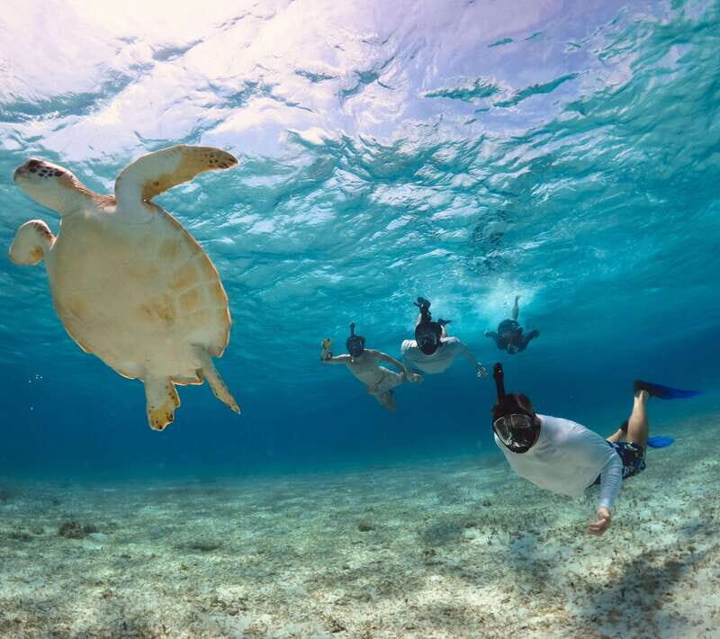 El Cielo Cozumel private snorkel tour - The Details of the Cozumel Snorkel Adventure