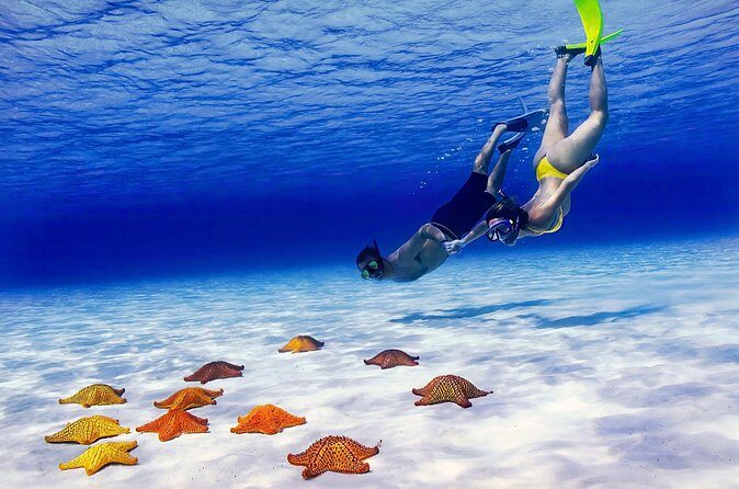 El Cielo Cozumel Snorkel Private Tour Big Group + Food Drinks - Frequently Asked Questions
